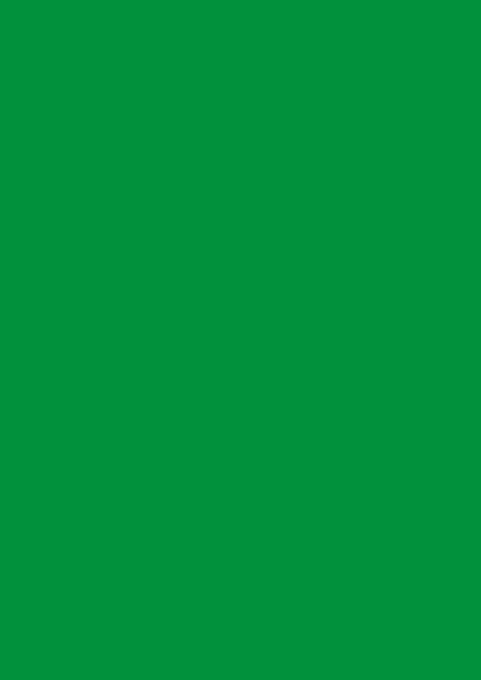Papir u boji A4 Verde-trava zeleni 80gr 10l